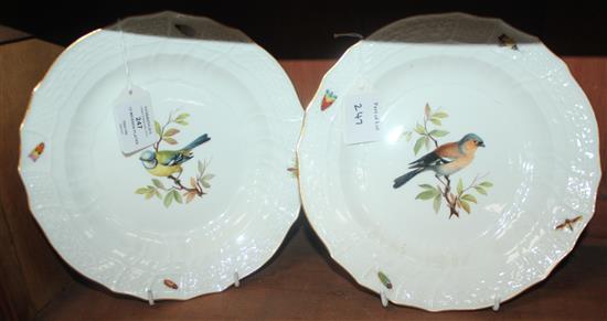 A set of twelve Meissen ornithological dinner plates, 19th century, 24cm